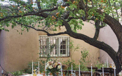 Wedding Vendor Red Flags: What to Watch Out for Before You Sign a Contract