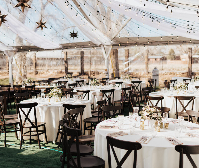 Albuquerque wedding planners use decorate a winery with wedding rentals to bring this couples vision to life.