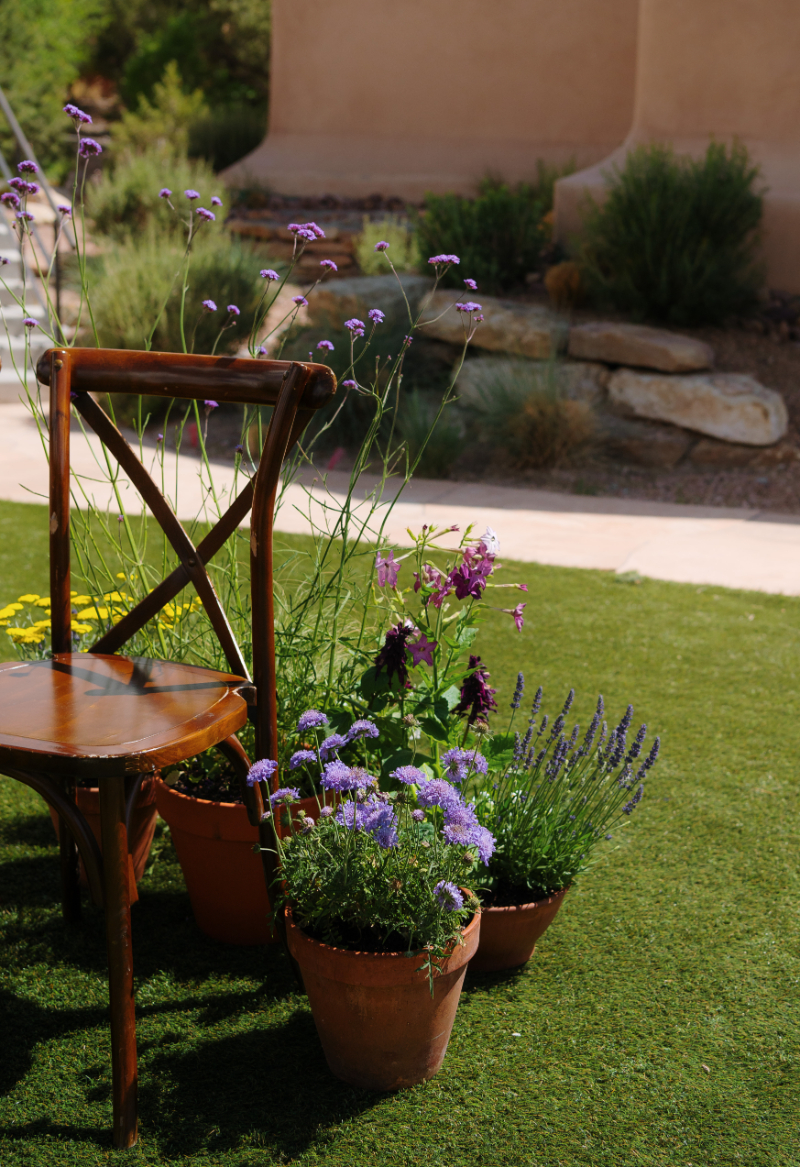 Desert plants in terracotta pots for wedding at Bishop's Lodge.